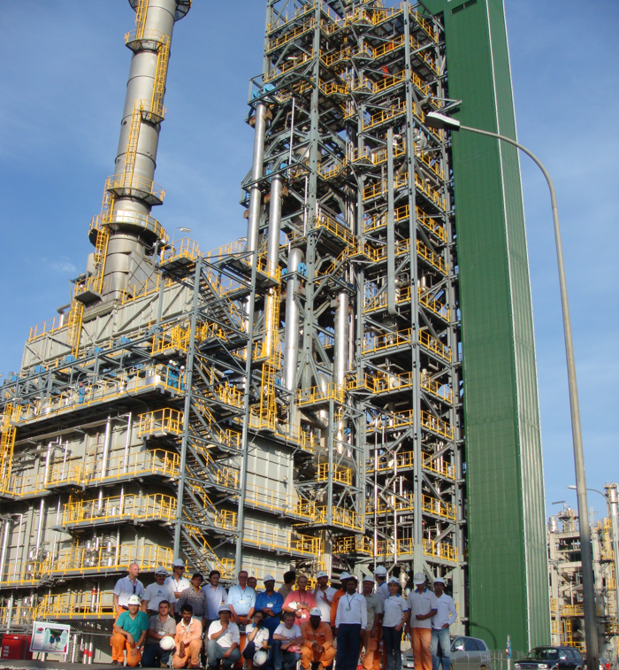 Industrial process plant with project team