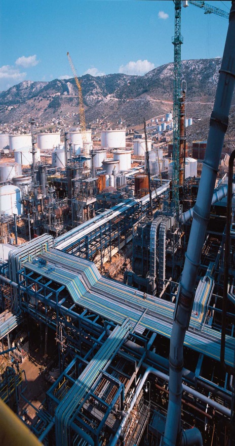 Industrial process plant considered during facility siting assessment